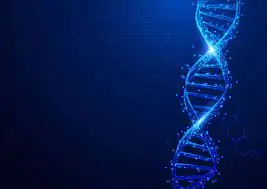 Looking Beyond our DNA for Life’s Determinism